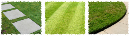 Lawn mowing edging green waste removal